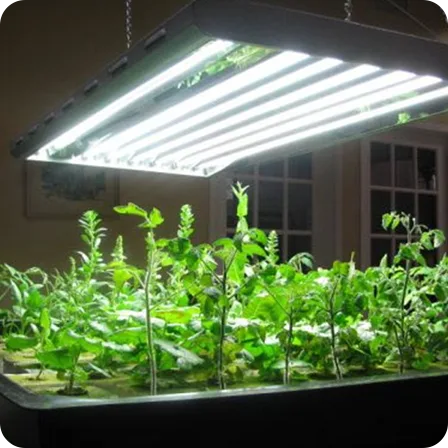 Grow Lights